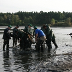 Odłowy 2009
