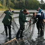 Odłowy 2009