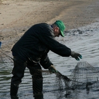Odłowy 2009