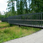 'Pomost nad podmokłą łąką z cenną roślinnością udostępnioną na potrzeby turystów