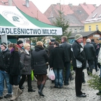Stoisko z choinkami Nadleśnictwa Milicz