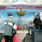 Stoisko Stawów Milickich S.A. ze świeżym karpiem