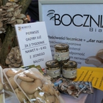 Stoiska producentów boczniaków z Wielkopolski