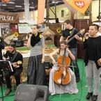 Występy zespołów muzycznych