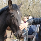 Hubertówka, poza noclegami i kuchnią myśliwską, oferuje również rekreację konną
