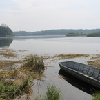 Widok na stawy pełne dorodnych karpi