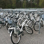 park liczy 5600 ha - można go zwiedzać jednym z 1800 rowerów
